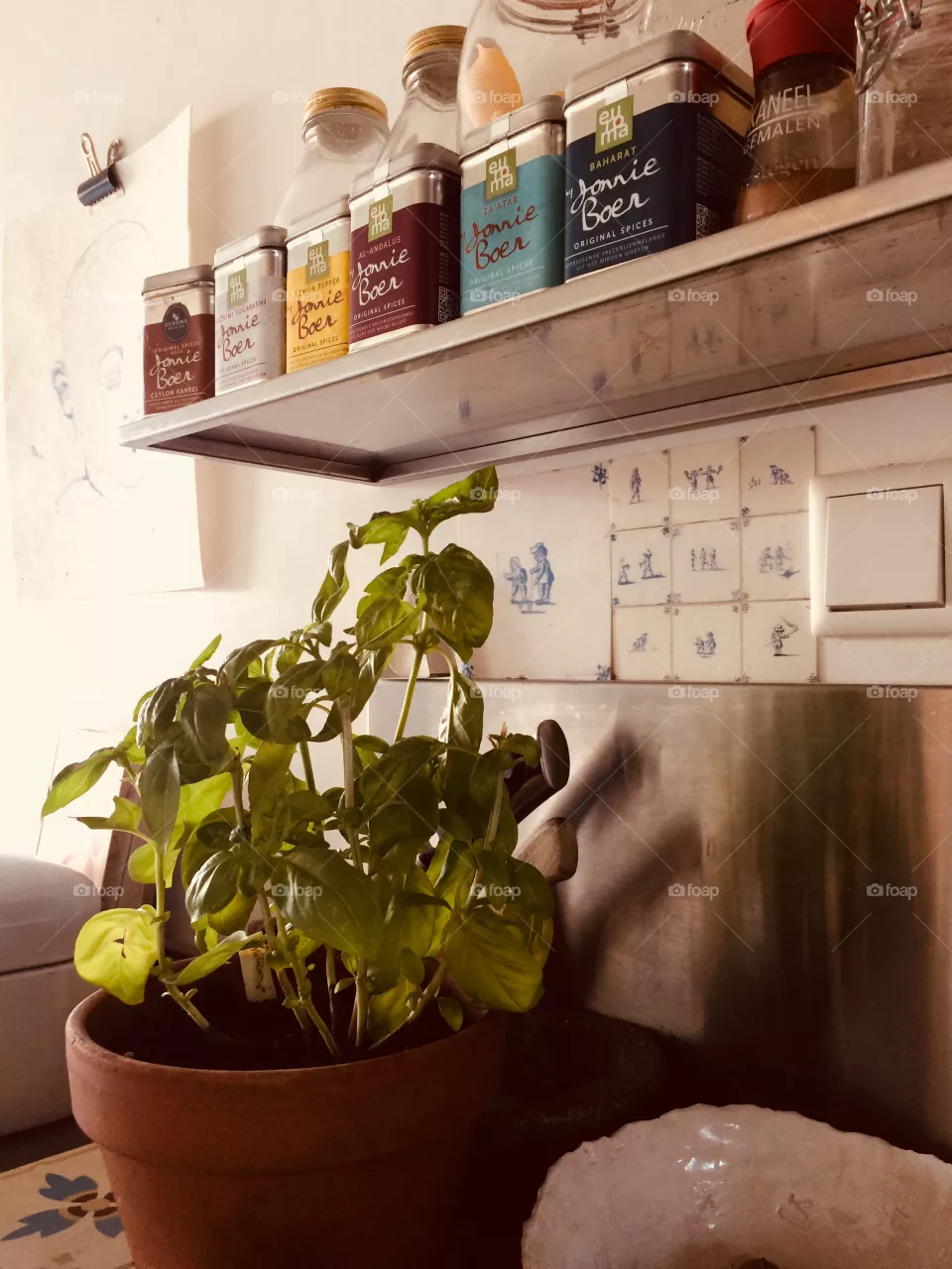 Basil