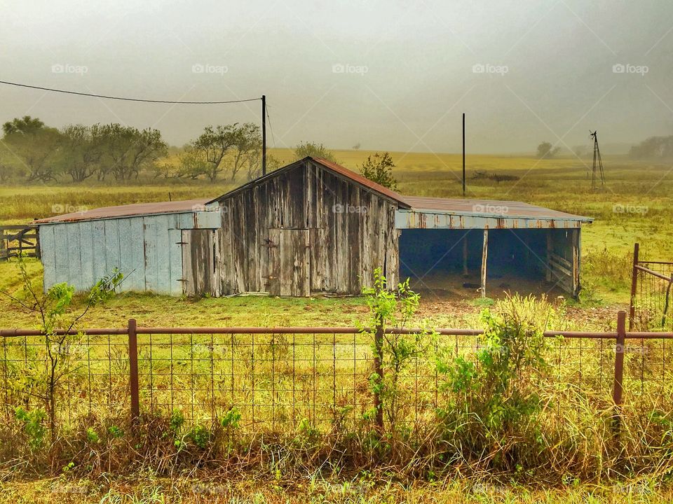 Barn 