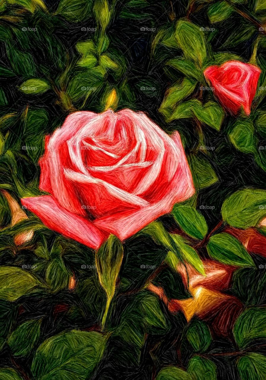 Tapestry Rose