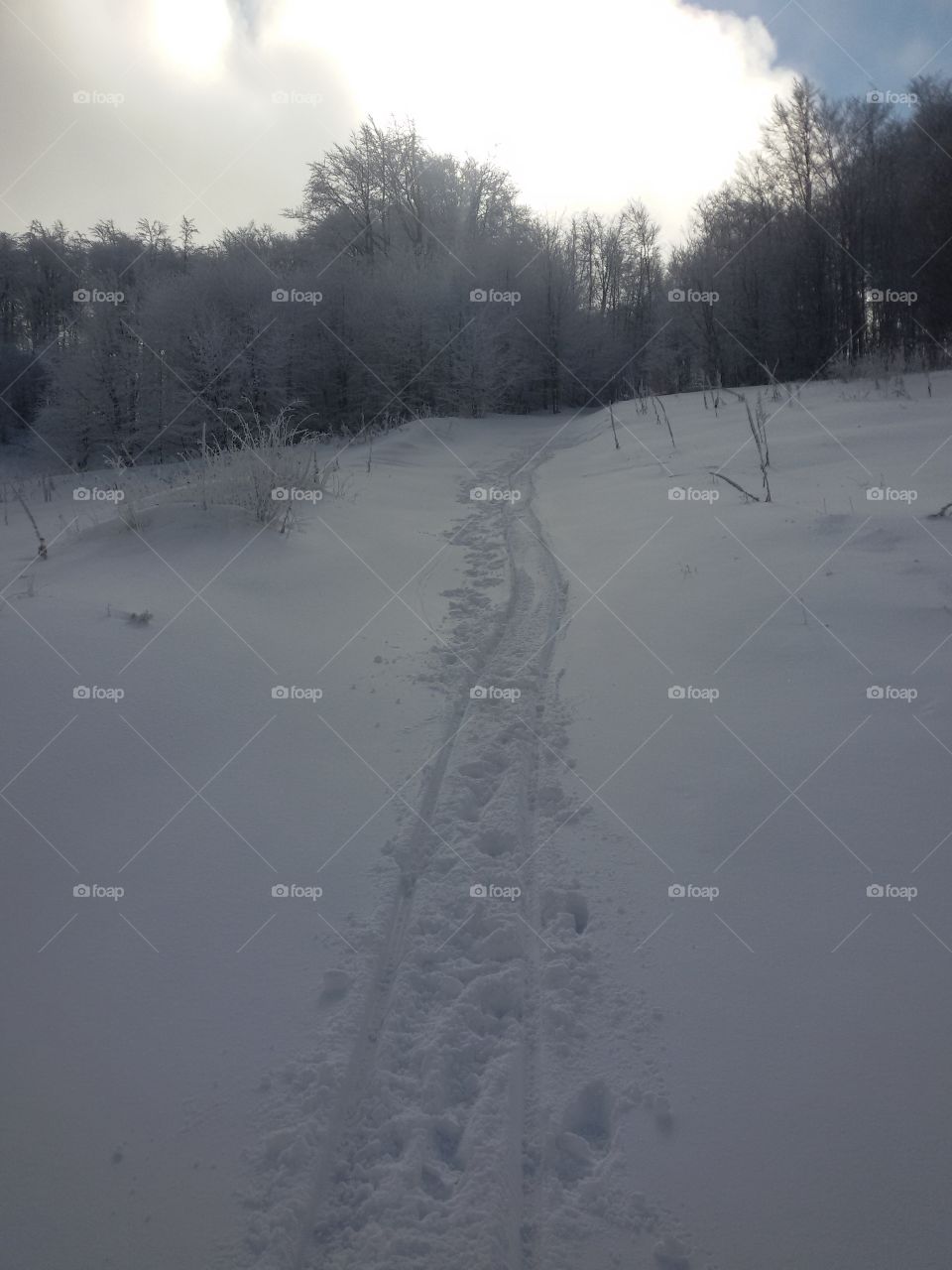 view of the mountain in winter