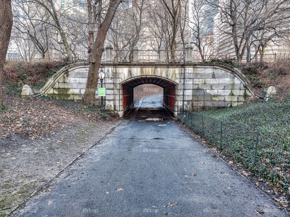 Dipway Arch Bridge in Central Park New York