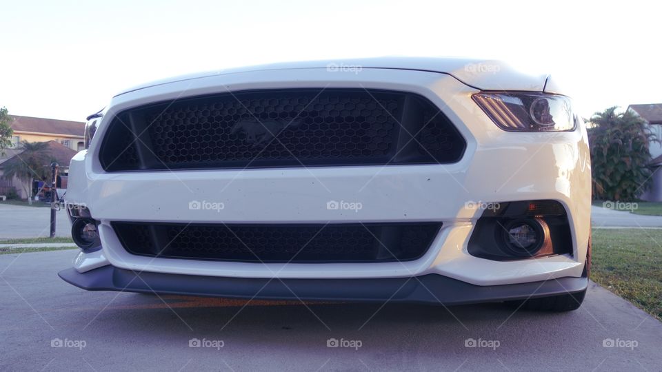 Oxford White Mustang GT