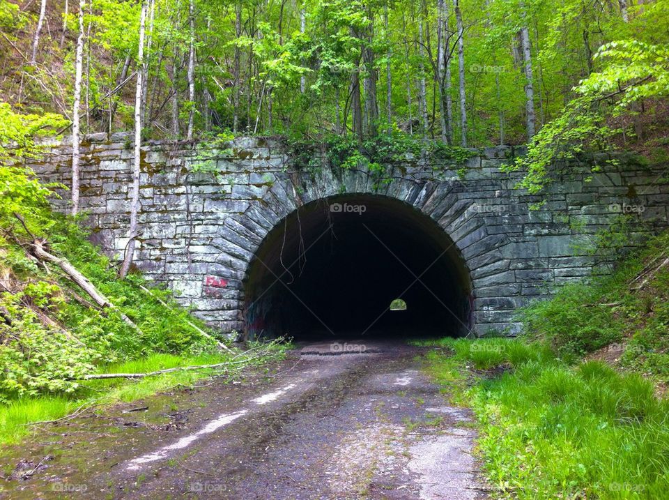 Tunnel in the park