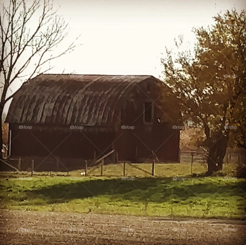barn