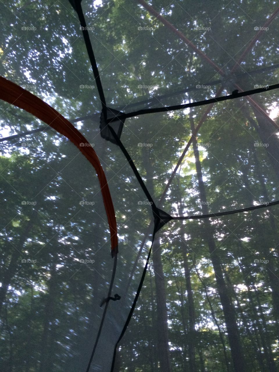 Waking up to see the canopy through the tent