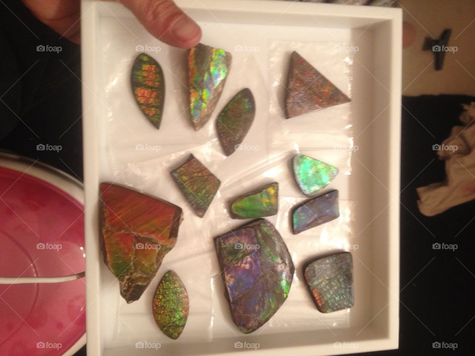 Rough Ammolite 