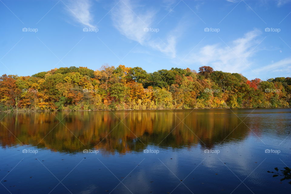 Autumn forest trees reflected in lake