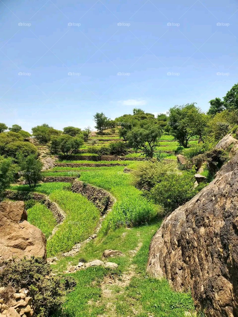 Glory be to God, the magnificent and picturesque view and the natural green trees are a view that is nothing more wonderful than it