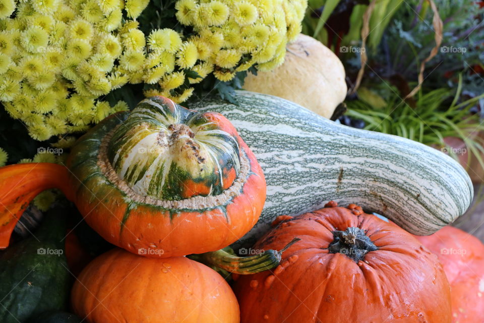 Pumpkins 