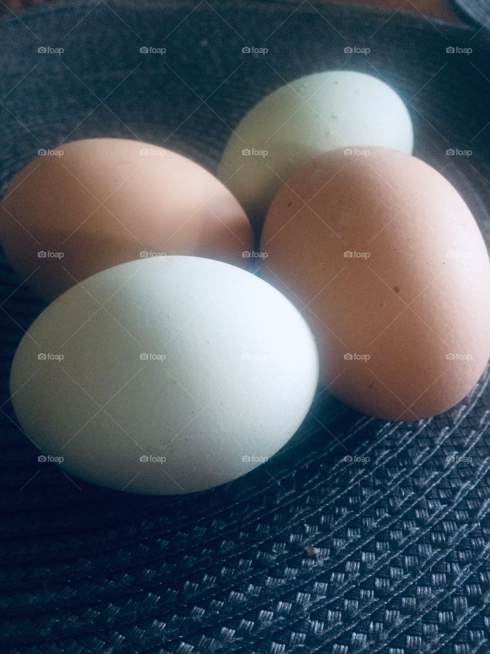 Eggs from our chickens!!