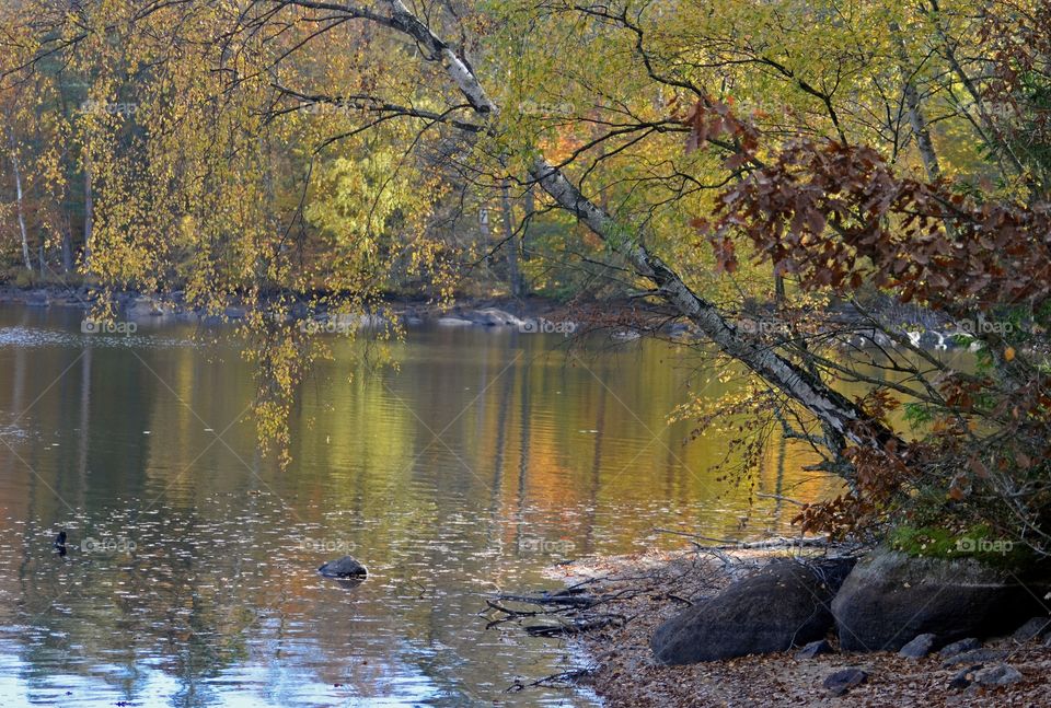 Swedish lake in the woods, fall, reflections, Listersjöarna Ronneby Sweden