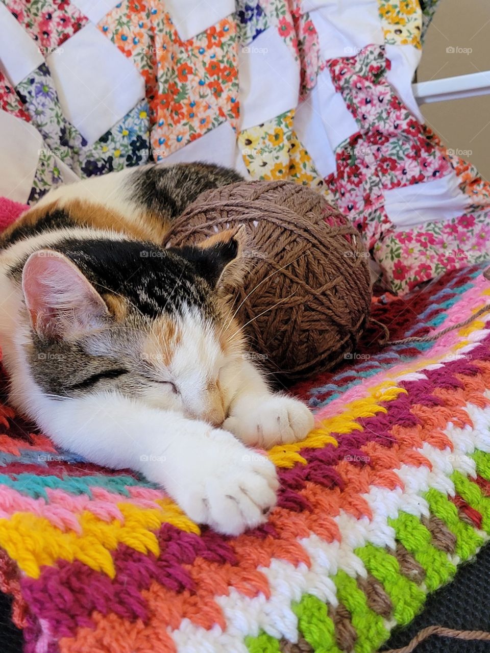 Sleeping cat with a ball of yarn