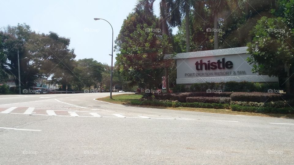 roadside view going in to hotel.