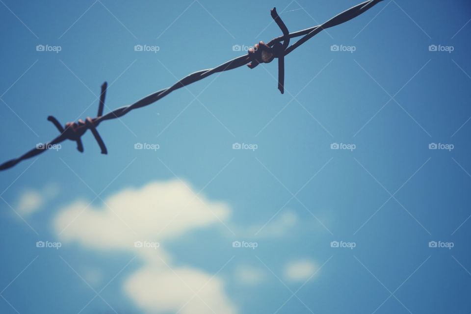 Barbed wire with blue sky and white clouds in the background. Concept for prison, freedom, salvation, Refugee, lonely. Copy space for text.