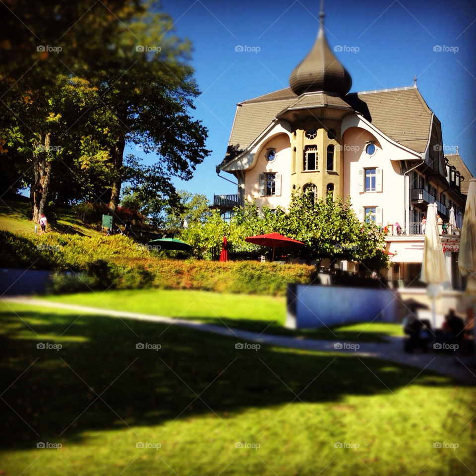 wood grass trees park by muffty12