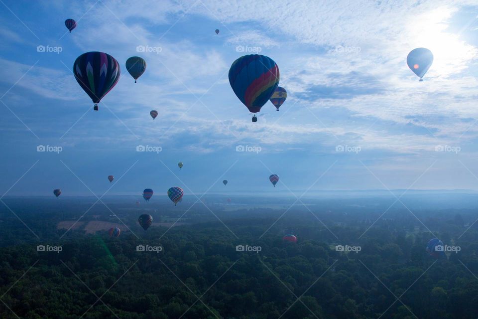 Hot Air Balloons in sky
