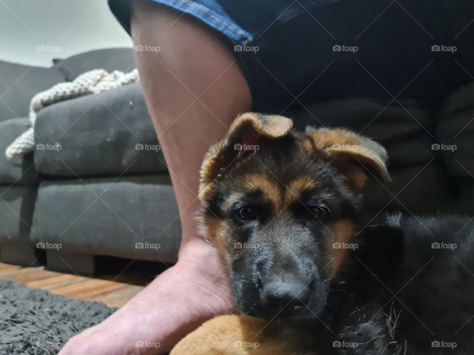 No place like dads feet