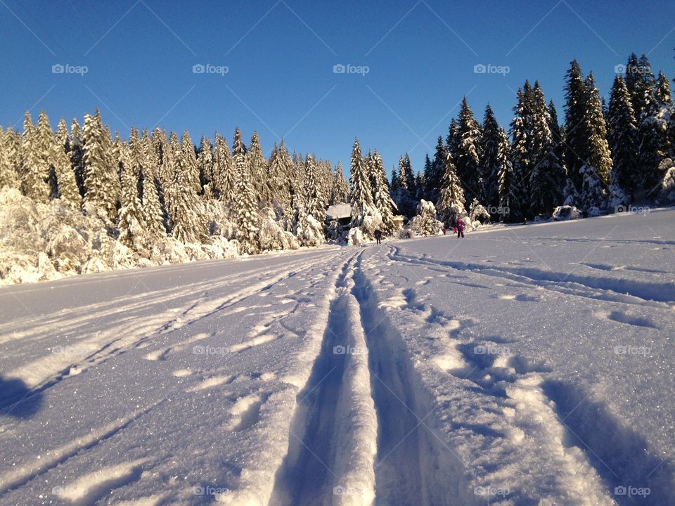 Oslo tryvann øvreseterkjærn 