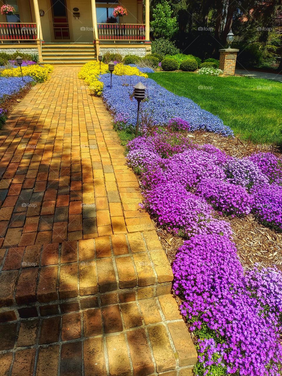 Beautiful Entry Walk