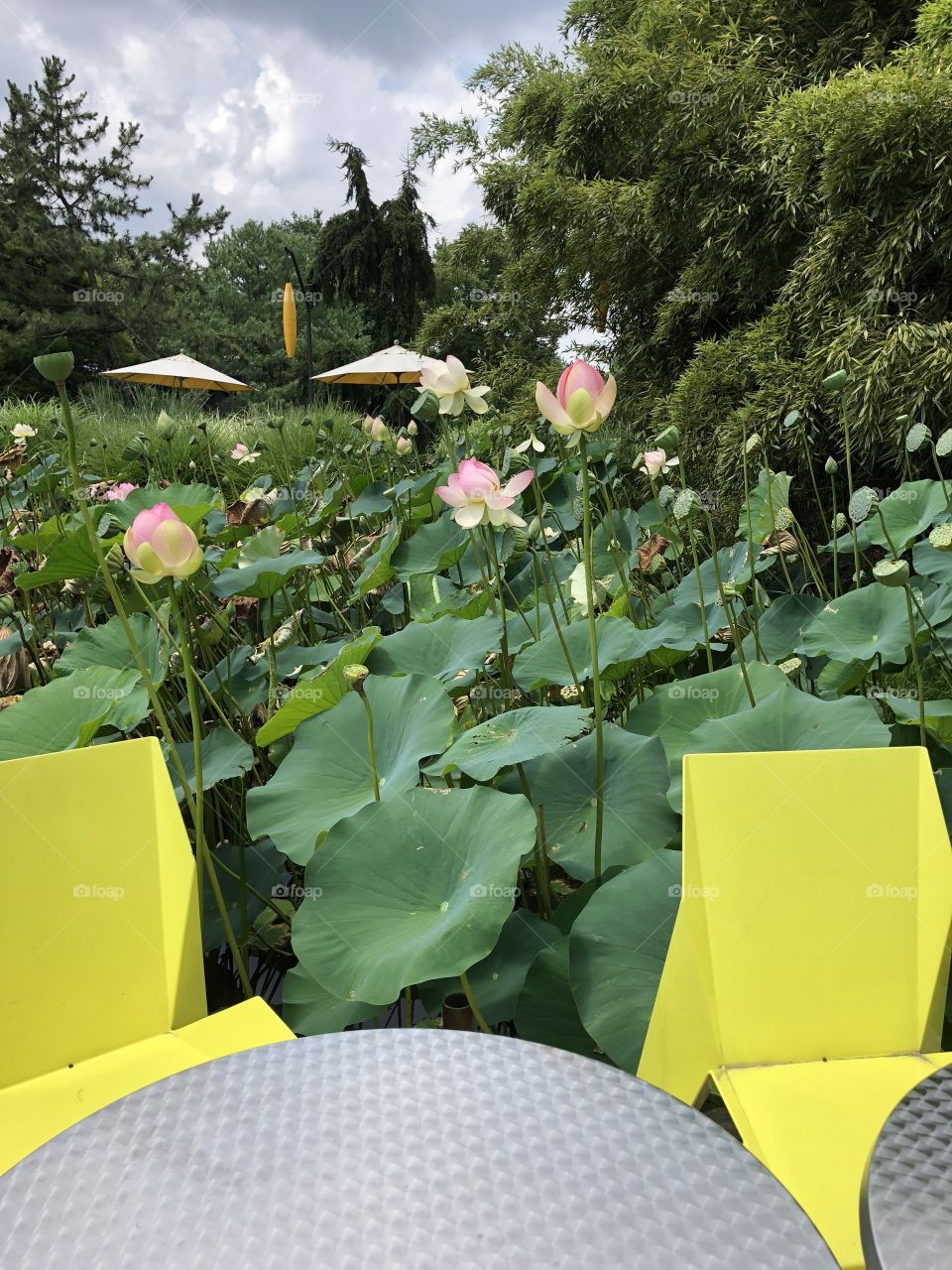 Grounds for sculpture