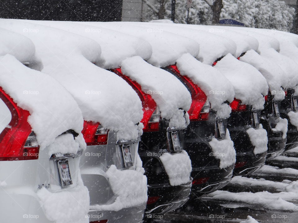 Snowy car symmetry 