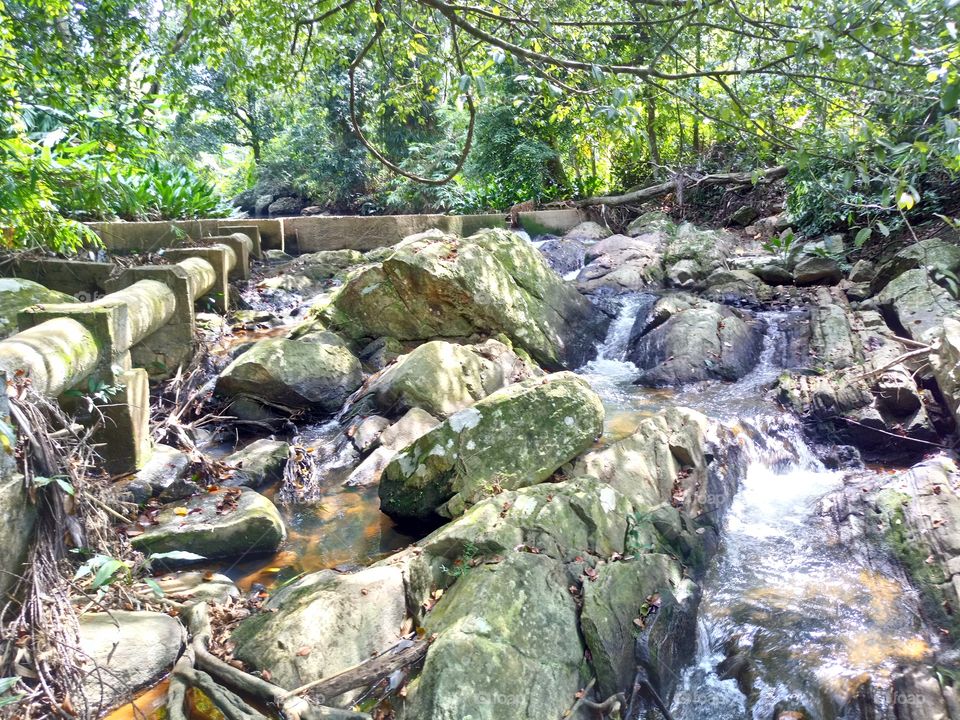 හීන් බෝවිටියා දොල ඇල්ල srilanka