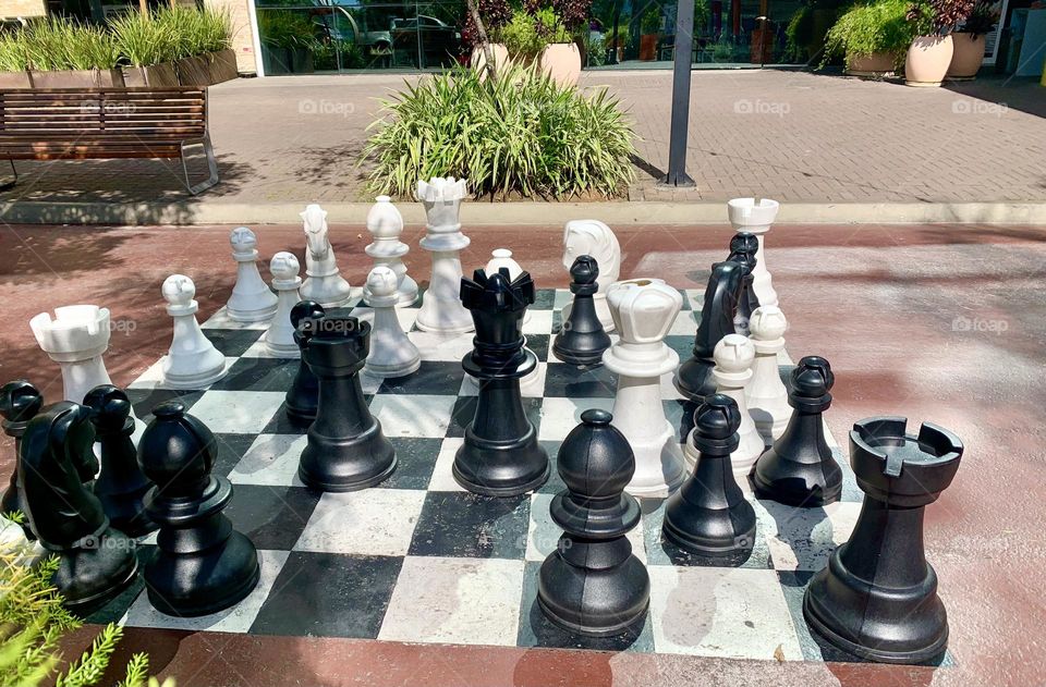 giant chess game