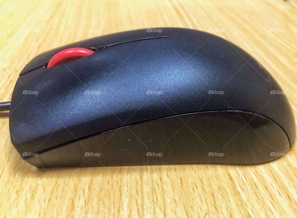 Mouse