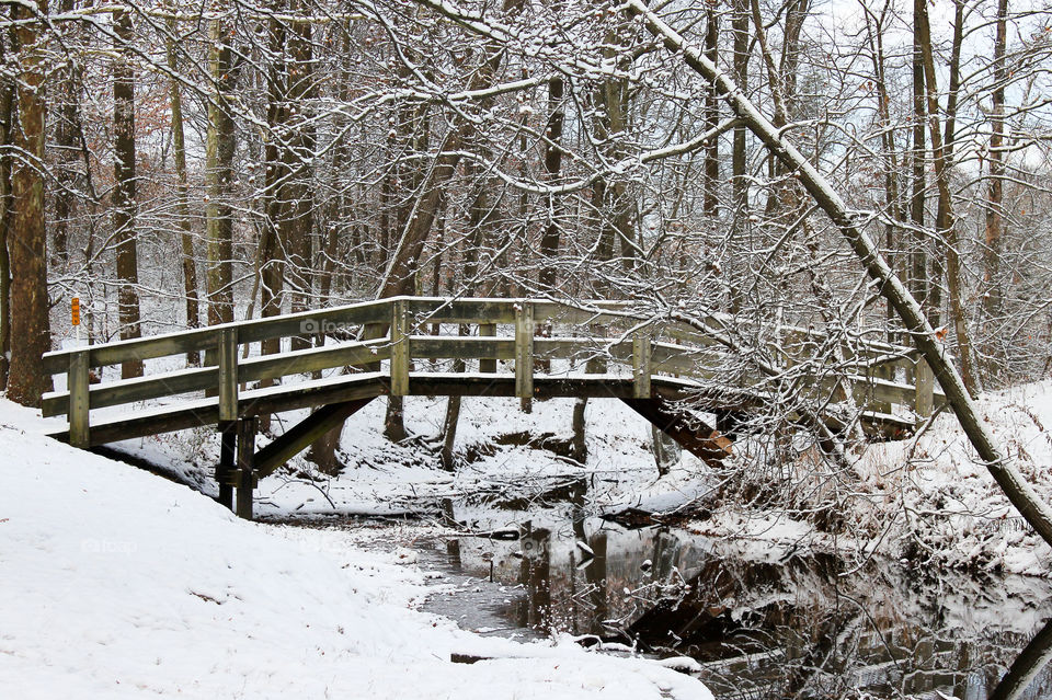 Winter Wonderland after the first snow