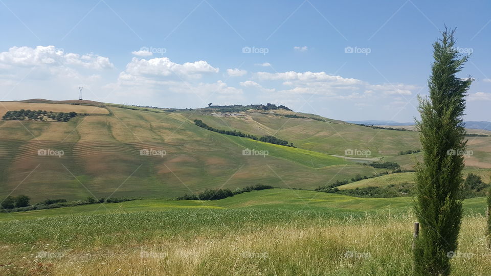 Landscape, No Person, Cropland, Outdoors, Agriculture