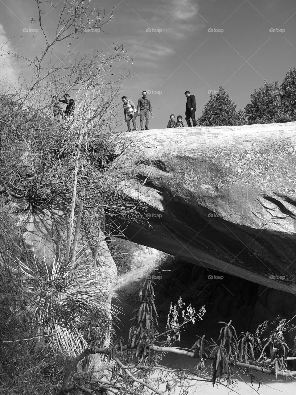 Ermosa pierdes  en la montaña 
