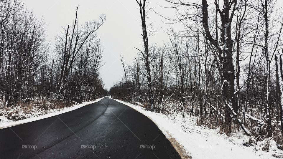 Empty road in the forest