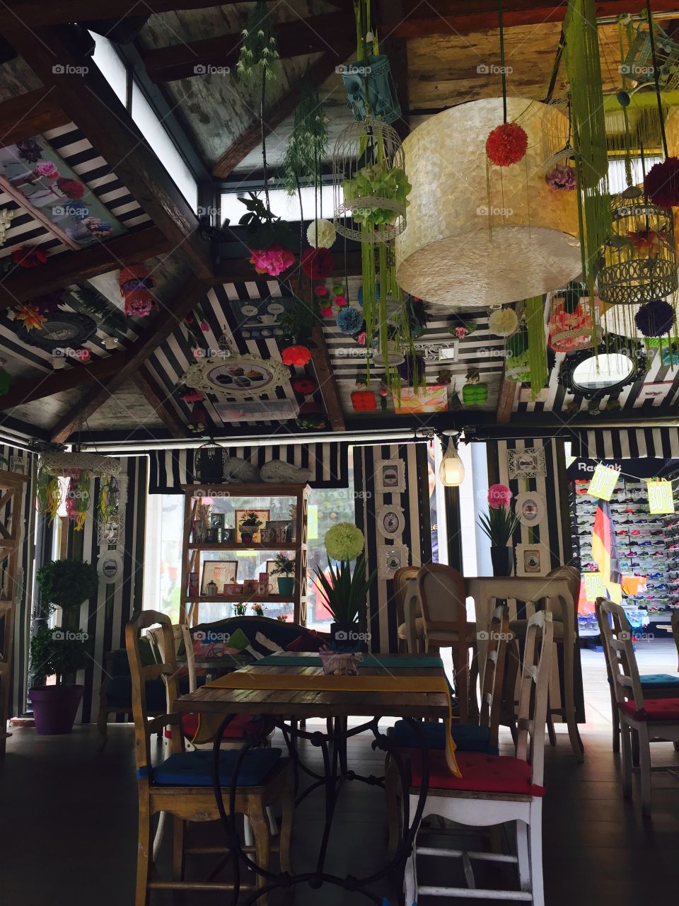 Cosy cafe in Tenerife , monkey bar