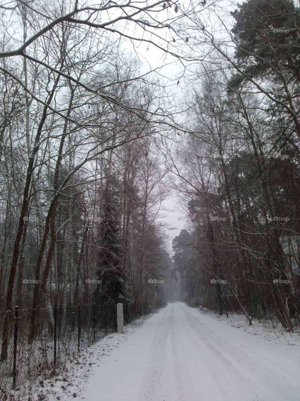 winter road