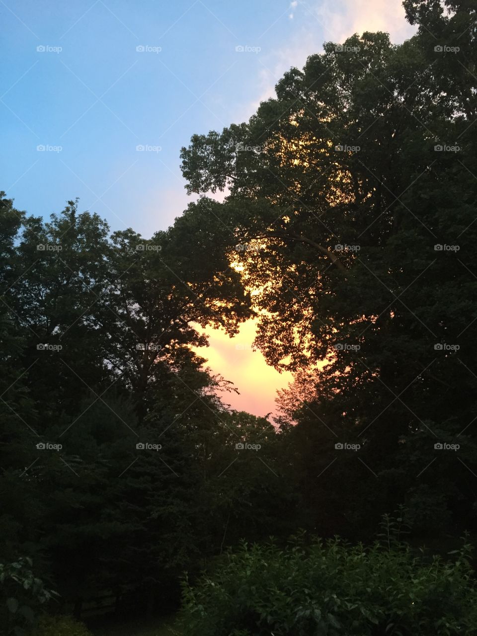 Sunset from our side patio after a thunderstorm 