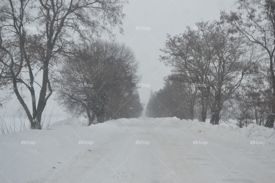 Snowfall Ukraine