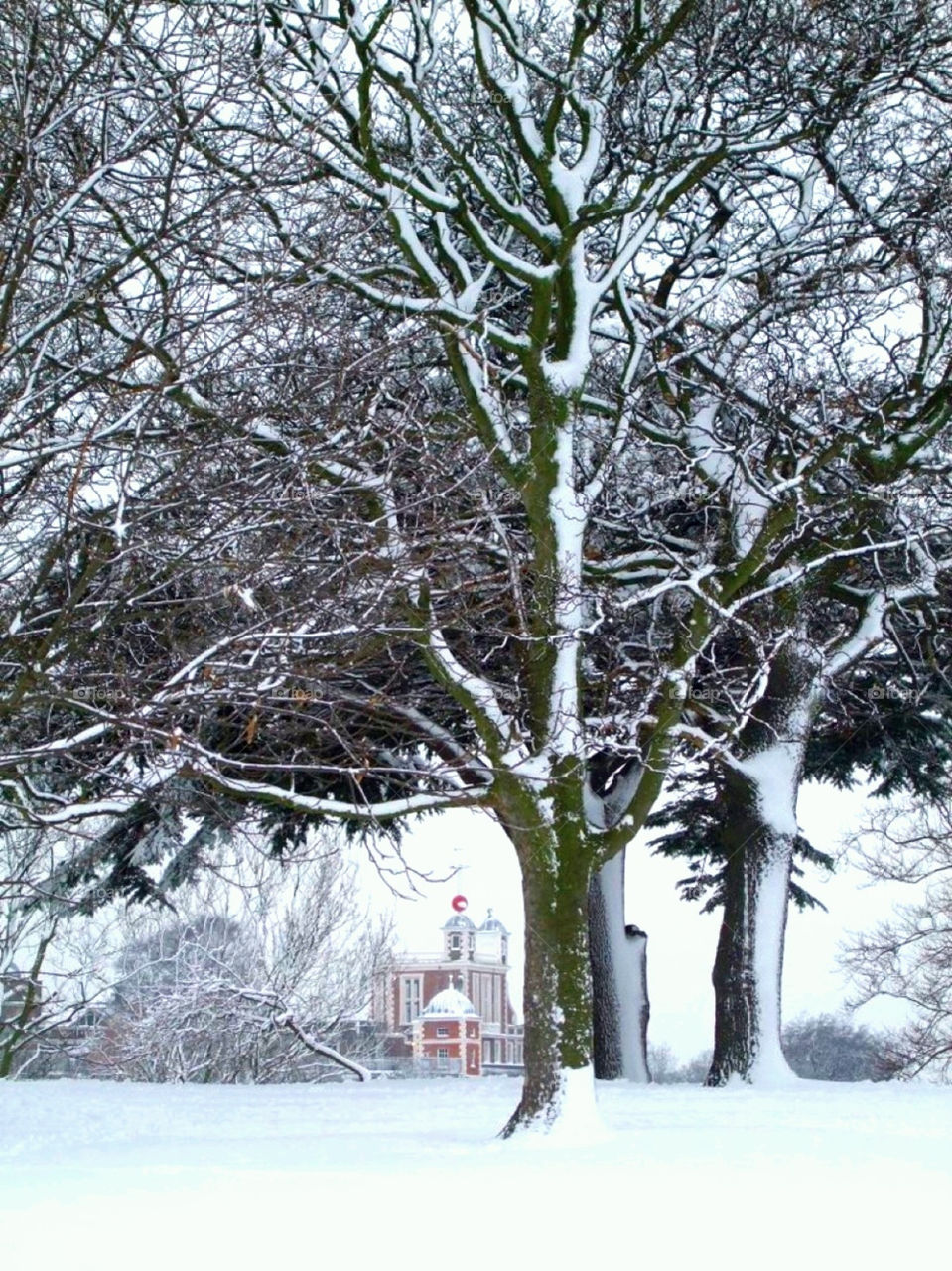 snow winter tree building by Balloo