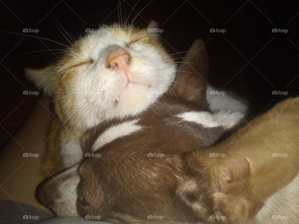 how I just love my brother we are happy and content together. we are family for always.