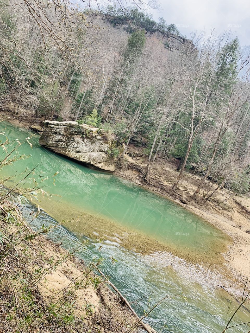 Kentucky Early Spring /Exploring Nature