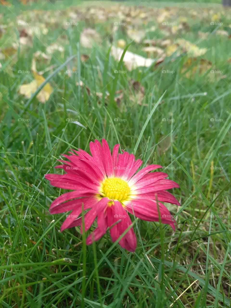 Autumn is beautiful