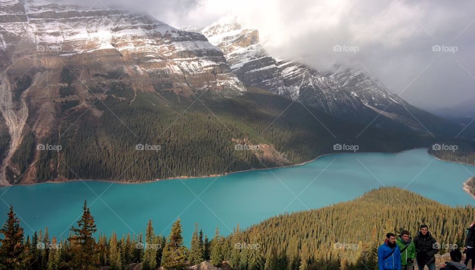 Peyto Lake. Peyto Lake panoramic view, Rocky Mountains, Canada