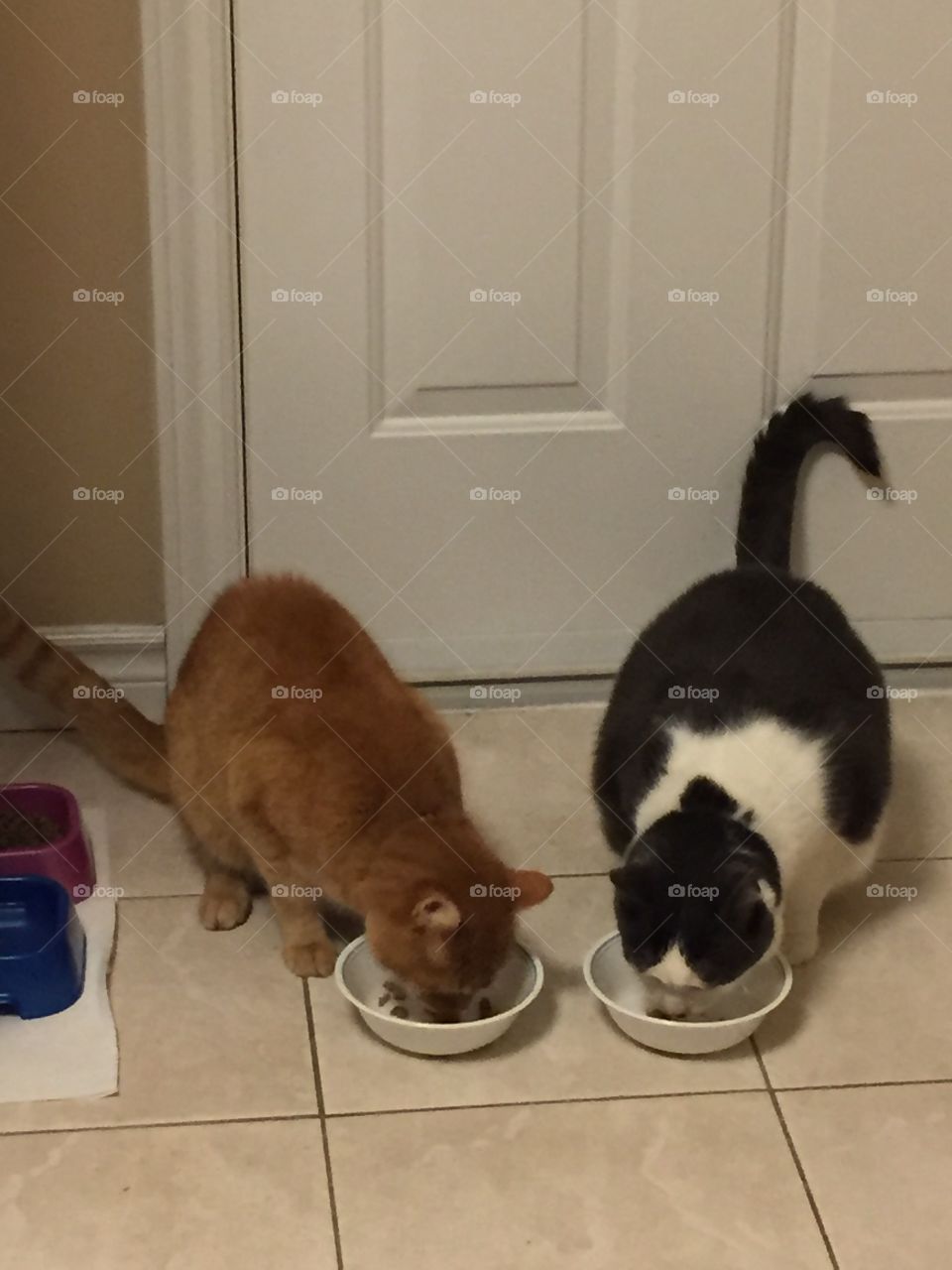 The Kitchen Is Their Favourite Room In House!