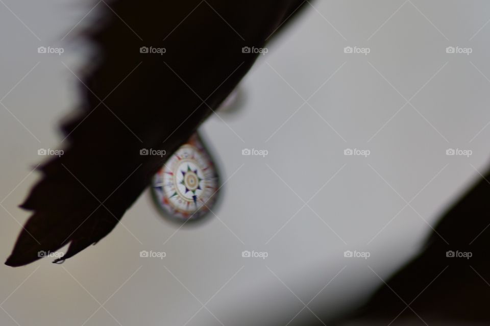 waterdrop wind rose