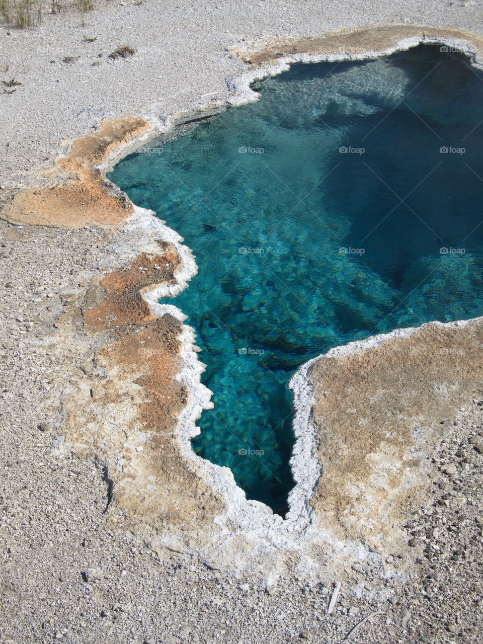 The beautiful turquoise waters of Blue Star Spring on Geyser Hill in Yellowstone National Park on a summer day. 