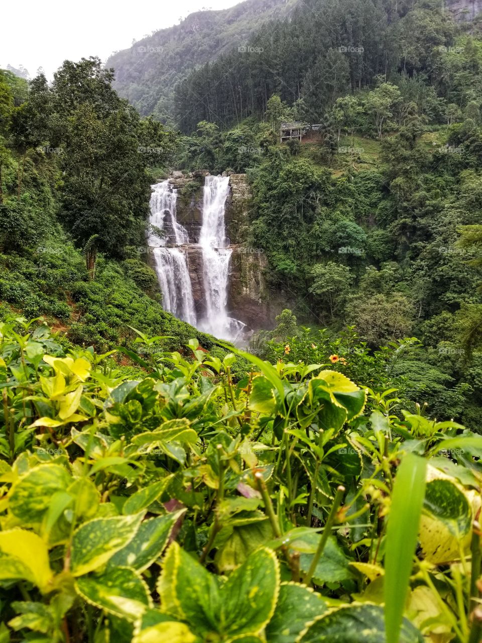 Ramboda falls
