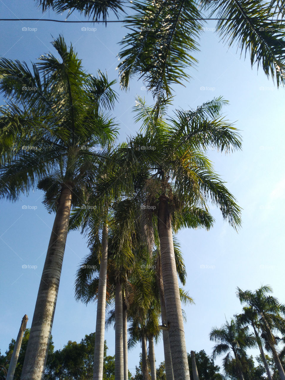 When i’m on vacation