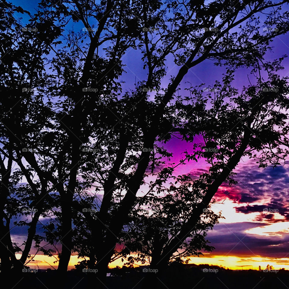 A very colorful dawn in the interior of Brazil, clicked by the iPhone SE.  Thanks for the record! / Um amanhecer bem colorido no interior do Brasil, clicado pelo iPhone SE. Valeu o registro!
