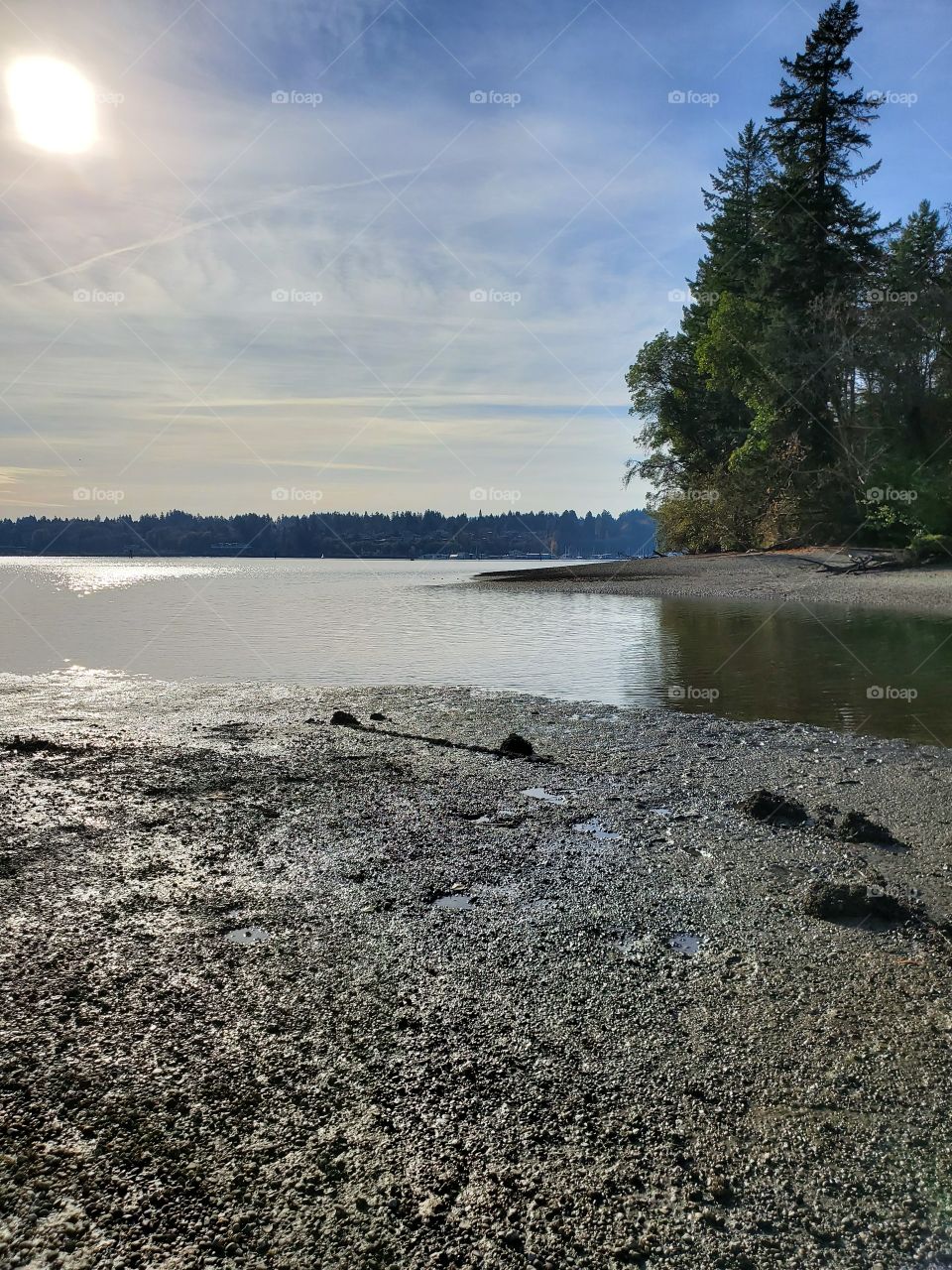 autumn at the bay