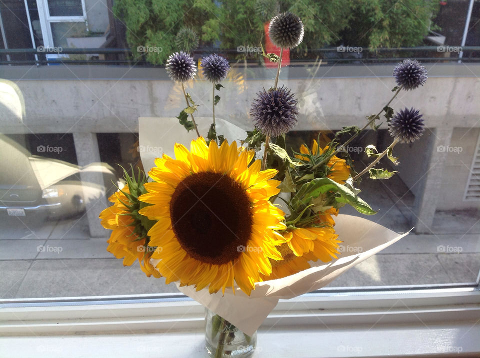 yellow purple window sunflower by majamaki