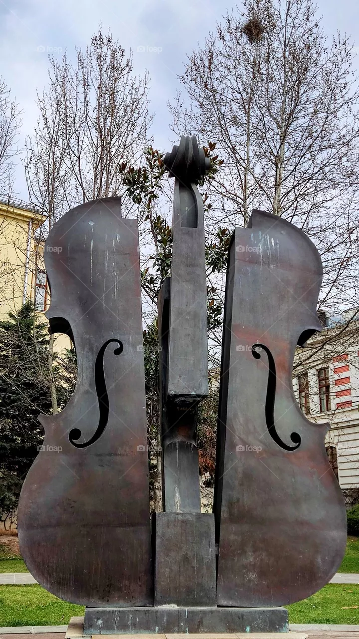 Violin